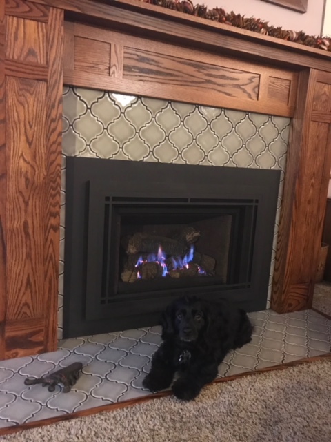 Apollo by the fireplace
