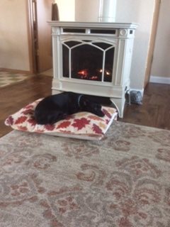 Fahy enjoying the heat from new Hampton gas stove