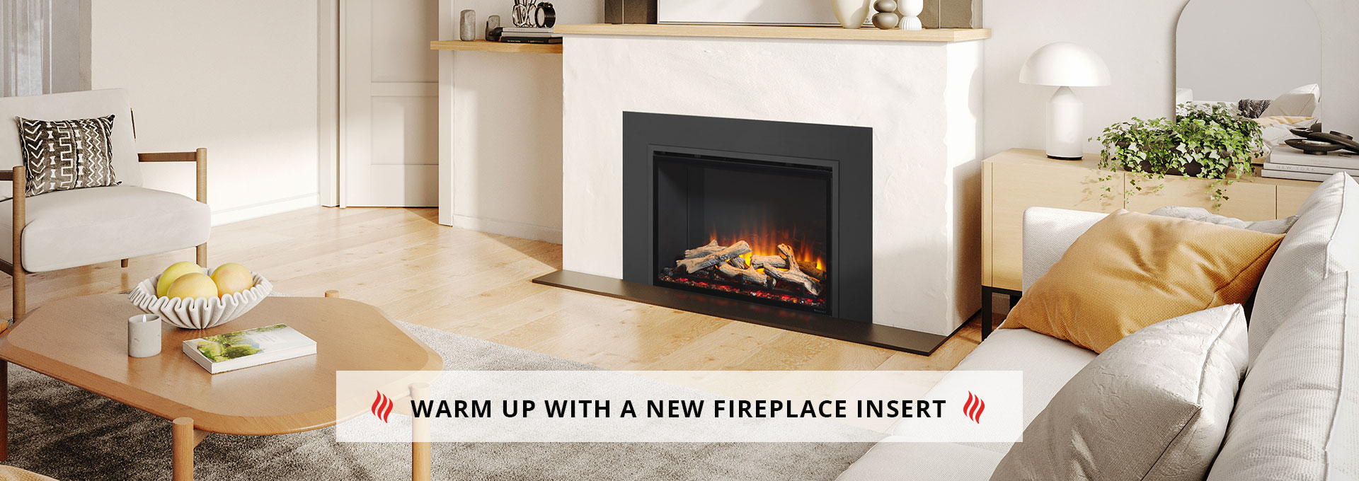 F2450 Non-Catalytic Wood Stoves