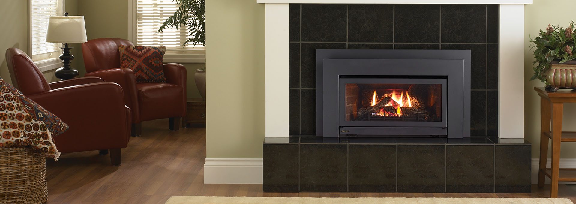 E21 Small Gas Fireplace Insert Regency