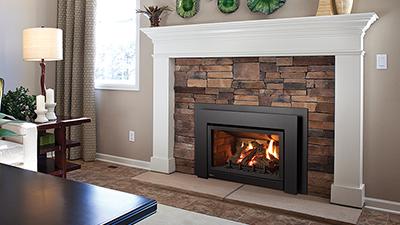 Excitement About Gas Fireplace Insert Replacement