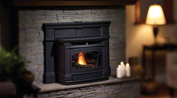 Regency is a leader in pellet inserts through attention to flame