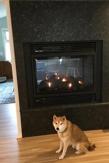 Roman at the see-through fireplace