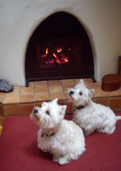 My Fireplace and the girls