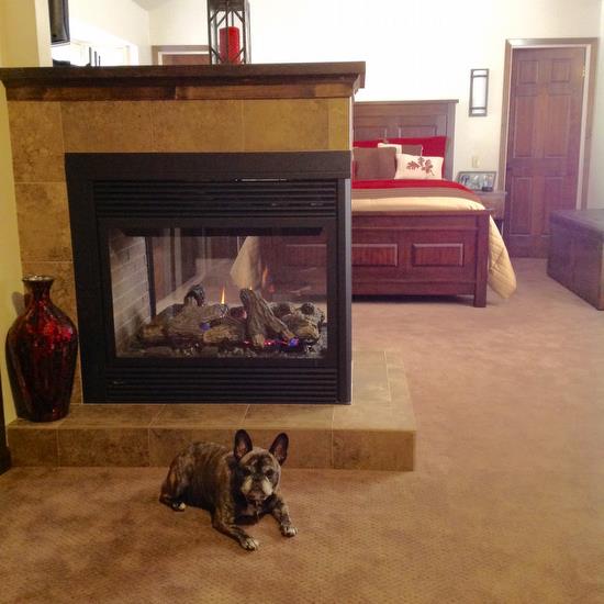 Macy Relaxing By Fireplace 