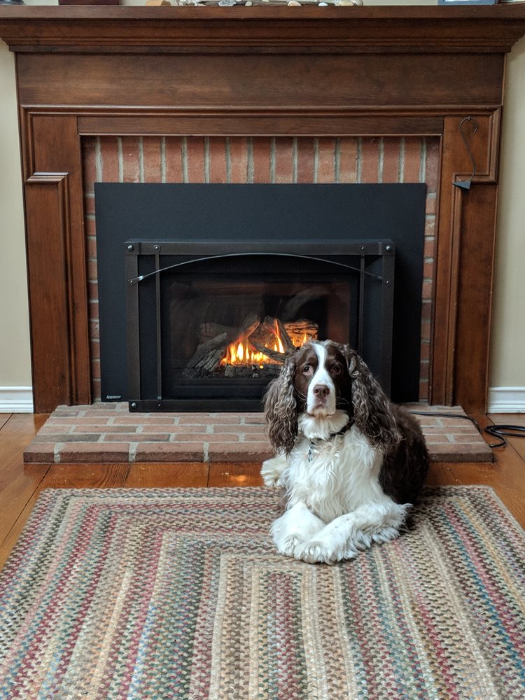Clancy resting by our recently installed Regency fireplace