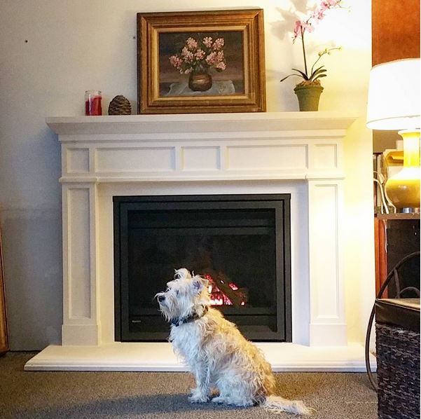 Regency P36 gas fireplace