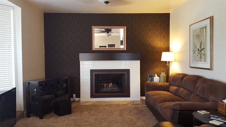 Regency Horizon HRI4E gas insert