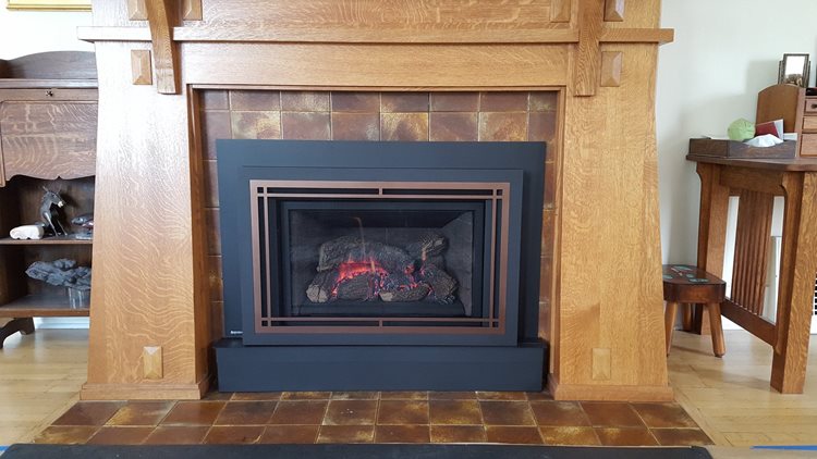 Regency Liberty LRI4E Gas Insert