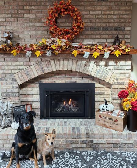 Aberdeen and Comiskey enjoying their Regency Fireplace 